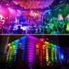 Garden Lawn Outdoor Party Purple Light LED UV Dark Night Flood Light